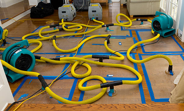 Professional Burst Pipe Water Damage technician working in Sarasota, FL